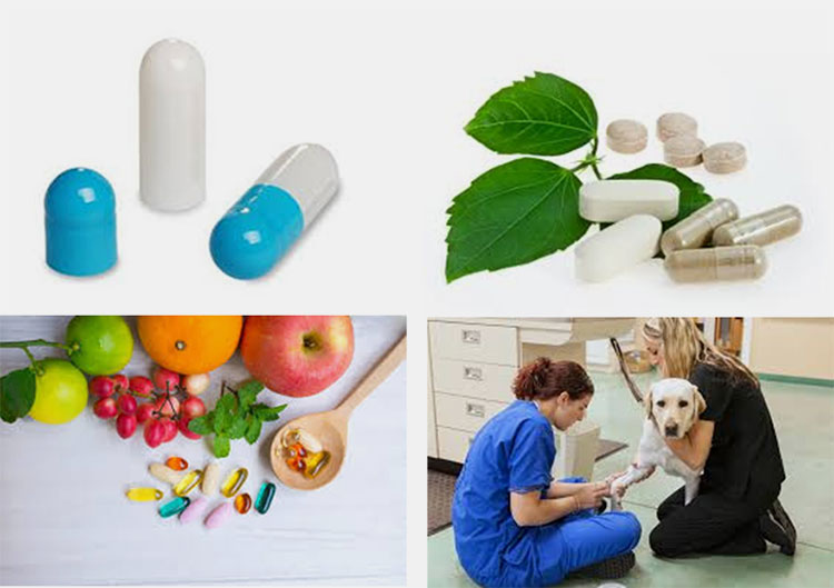 Types of pharmaceutical processing equipment applications