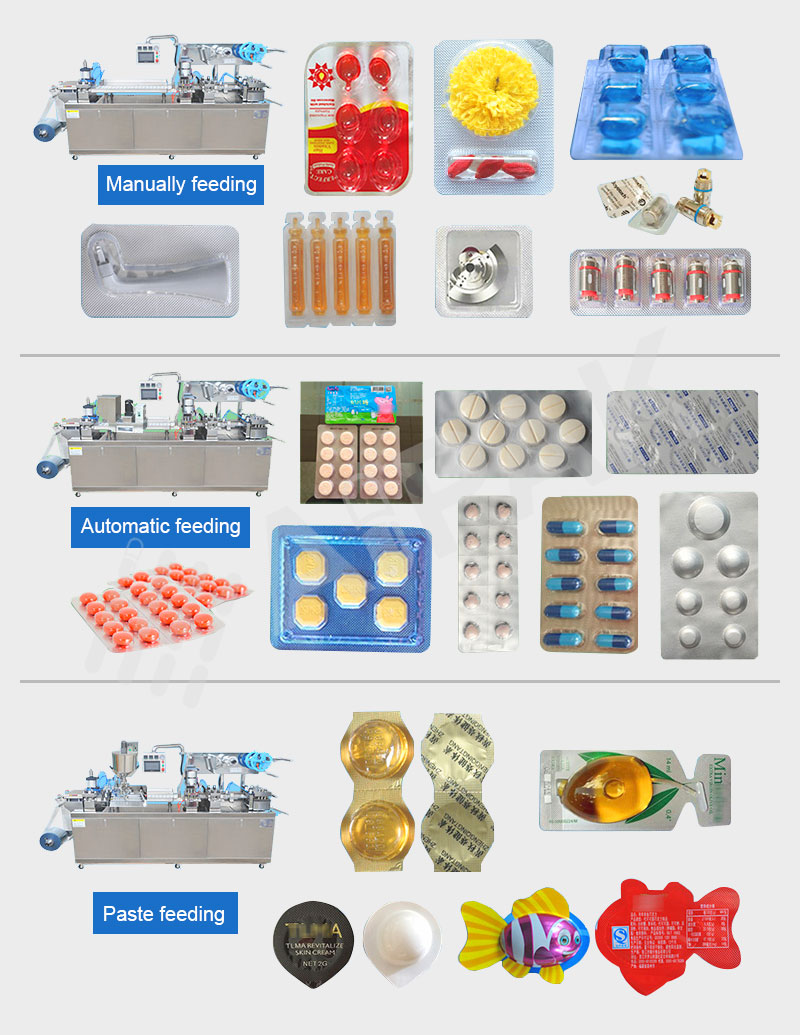 Various Blister Packaging-2