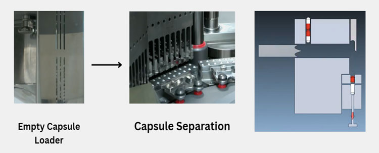 Capsule Separation