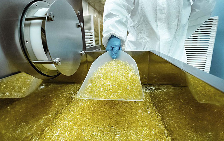 Softgel Encapsulation Process