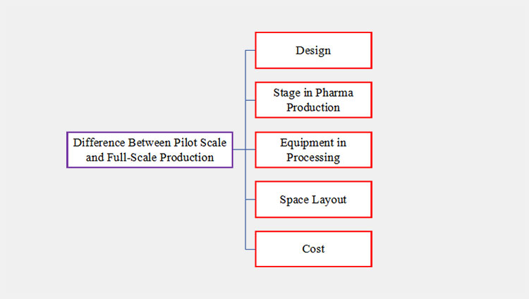 Difference Between Pilot Scale and Full-Scale Production