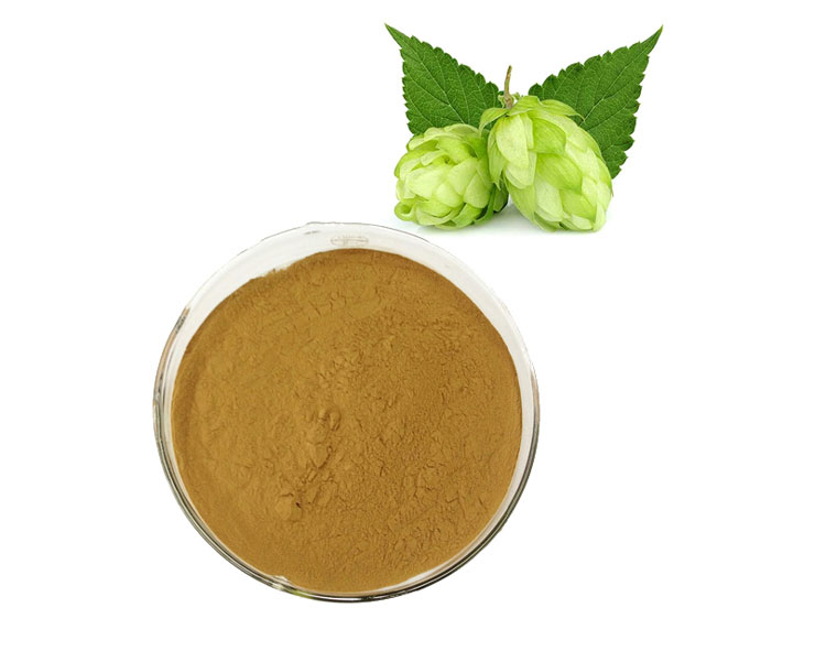 Extraction-of-Hops-6