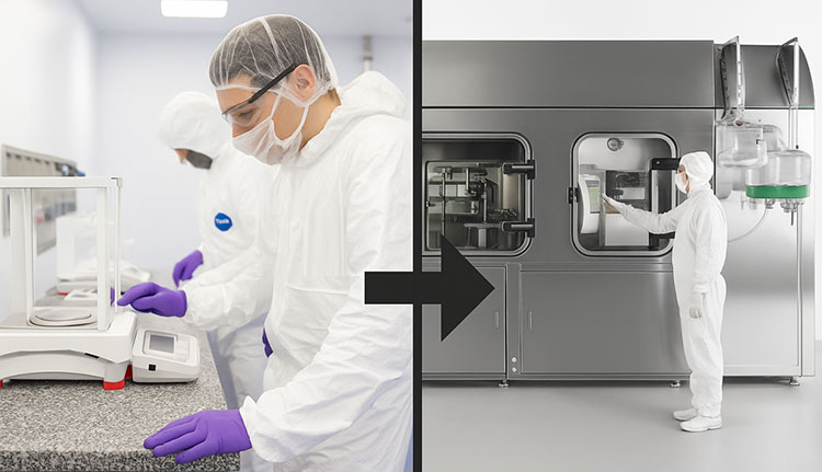 Steps for Smooth Transition-1