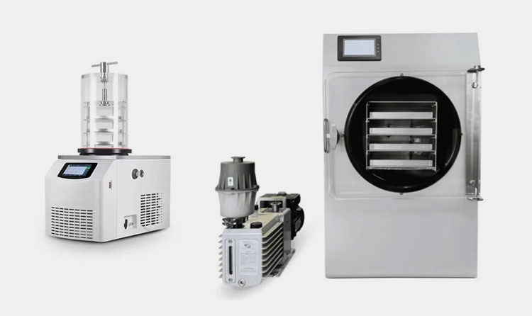 Vacuum and Freeze Dryer