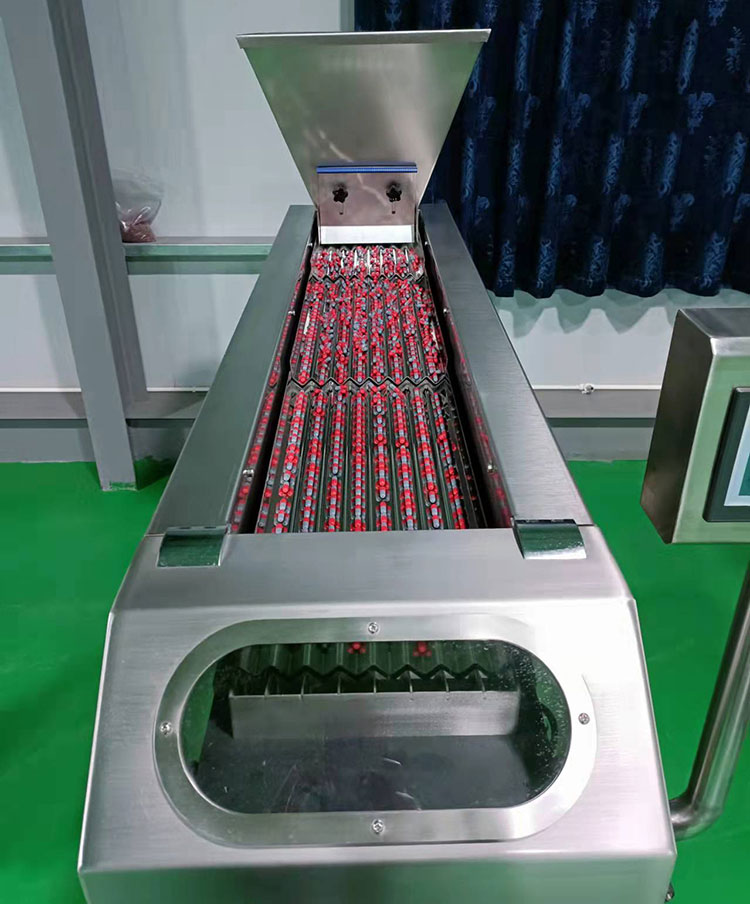 part-of-capsule-counting-machine-2