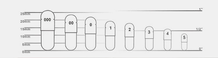 Various bottle sizes-3