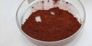 Continuous Fluidized Bed Processing