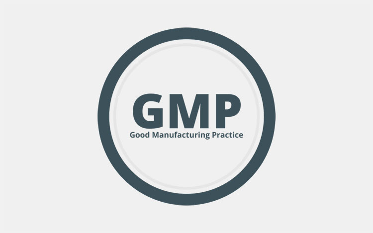 GMP requirements