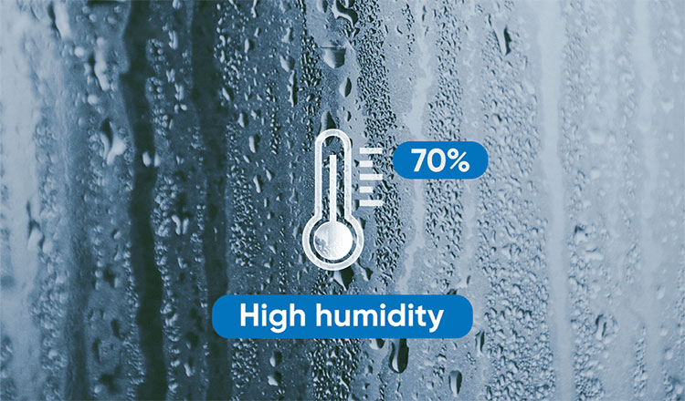 Reasons for tablet press tooling rust