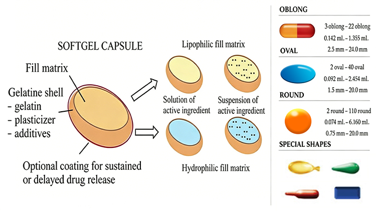 Softgel Shell Preparation