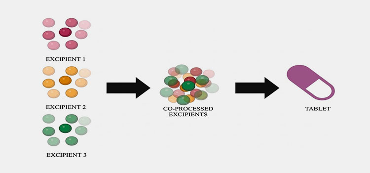 Co-processed excipients for TCM