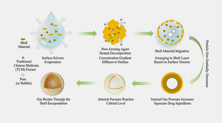 Core-shell and porous particle design