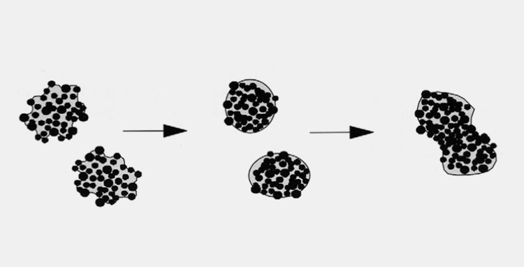 Granule growth and consolidation