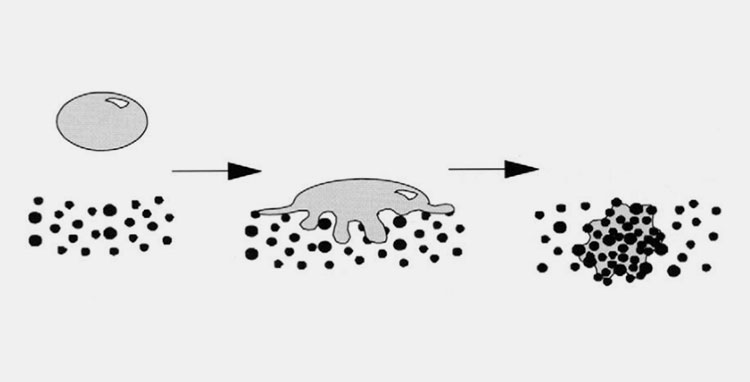 Wetting and nucleation process