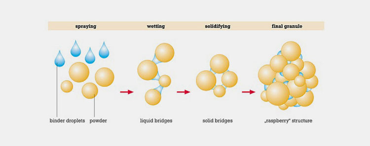 process of granule merge
