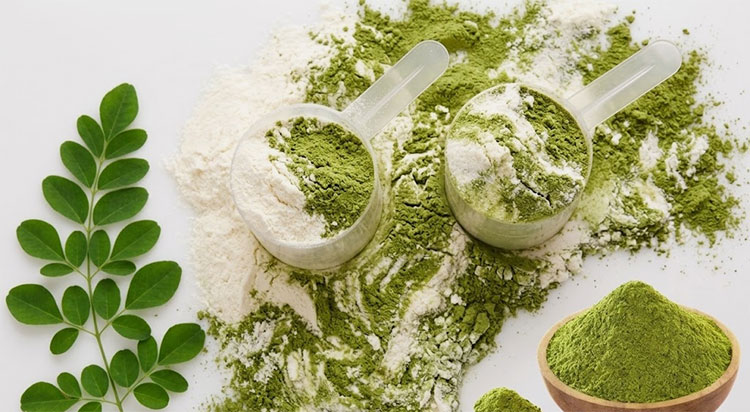 Mixing herbal extracts in protein powder